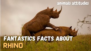 Top 10 INTERESTING FACTS about RHINO| Amazing Facts about RHINO. #animalsattitudes