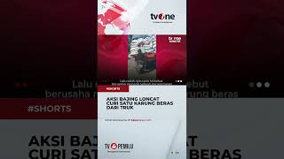 Viral! Bajing Loncat Curi Satu Karung Beras Bulog di Dumai #shorts #tvone #news