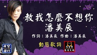 潘美辰-教我怎麼不想你 [動態歌詞] Lyrics [高音質] 作詞：潘美辰 作曲：潘美辰