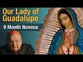 Cardinal Burke Novena To Our Lady of Guadalupe | 9 Month Novena Prayer