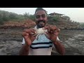 गुलाबी थंडीतील मासेमारी 🐠kokan fishing