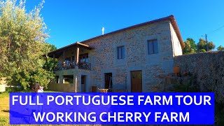 OUR PORTUGUESE CHERRY FARM - FULL TOUR - SPRINGTIME ON OUR HOMESTEAD IN PORTUGAL
