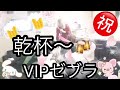 vipゼブラ^_^