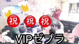 VIPゼブラ^_^