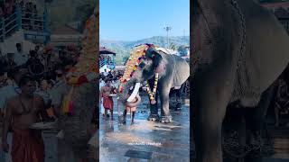 Sabarimala ULSAVAM Day 1 - Manikandan (Elephant) At Sannidhanam With Irumudi Kettu #sabarimala #news