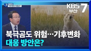 [대담한K] 북극곰도 위험…기후변화 대응 방안은? / KBS  2024.02.27.