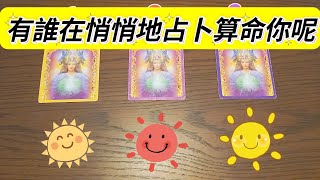 #塔羅#占卜#tarot#🌹有誰也悄悄的占卜算命你嗎?占卜算命的內容是?感情發展/暗戀/告白/進一步發展(Timeless)🎉💝🔮