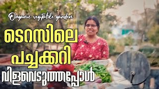 നിങ്ങൾക്കും ഒരുക്കാം ഒരു കുടക്കീഴിൽ ഇതുപോലെ part 2 | Organic Terrace Farming | #garden #tranding