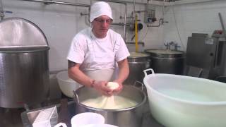 produzione mozzarella (casaro giuseppe pellicoro)