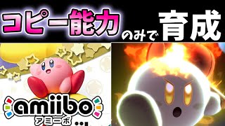 【アミーボ企画10】コピー能力のみでamiiboカービィを育成したらどうなる？【スマブラSP】【ゆっくり実況】