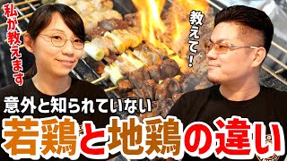 【阿波尾鶏】ほとんどの人が知らない【若鶏と地鶏の違い】を串ぼうずが教えます！