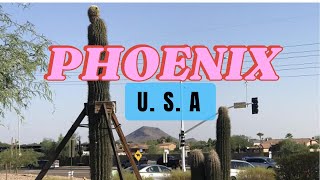 PHOENIX   (U. S. A )