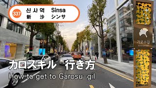 【韓国旅行】「3号線」新沙(シンサ)駅の8番出口からカロスキルまで道案内