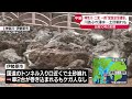 【台風10号】神奈川で大雨 川あふれ浸水…土砂崩れも 二宮町では一時「緊急安全確保」