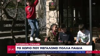 Χρυσομηλιά Τρικάλων – Το χωριό των πολυτέκνων  | Ειδήσεις Βραδινό Δελτίο | 03/03/2024