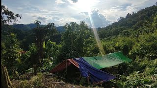 Berkemah hujan deras, hari pertama melakukan perjalanan, 7 hari 7 malam camping di hutan kalimantan