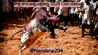 Jallikatu kotha chanmbatla 2025 video |Jallikattu