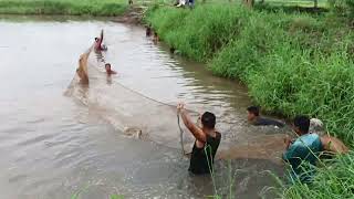 ngshidi farm da nga phaba chaluba