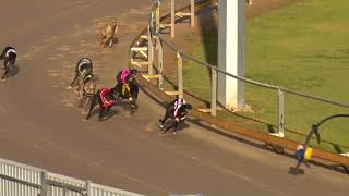 Gawler-14082020-Race-6