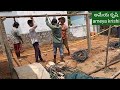 simple cow shed construction అందుబాటు వనరులతో ఆవుల షెడ్డు నిర్మాణం