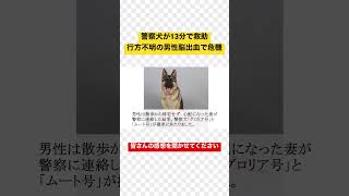 逗子市の警察犬が13分で救助、行方不明の73歳男性―脳出血で倒れ危機 #警察犬 #逗子市 #犬 #いぬ #犬のいる暮らし