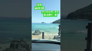 5/9山口県阿武郡木与波情報🌊#shorts #日本海 #阿武町 #萩市 #sup #波情報 #アソビュー