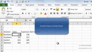 Excel 2010 Entering and Editing Data