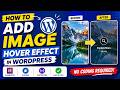 Add Hover Animation on Images in WordPress Without Coding