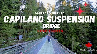 Capilano Suspension Bridge | Love Ligths (with snow ) 2025