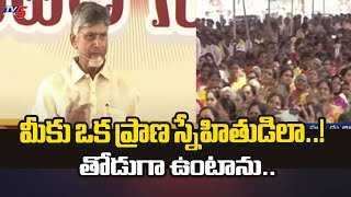 మీకు ఒక ప్రాణ స్నేహితుడిలా..!  CM Chandrababu Naidu Words On Yellamandha People | AP TDP | TV5 News