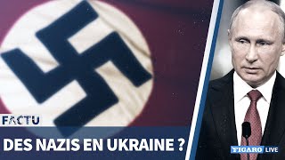 Y a-t-il des NAZIS en Ukraine?