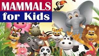 Mammals | Mammals for Kids | Bright Kids