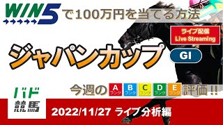 【WIN5で100万円：ライブ分析編】 2022年11月27日（日）ジャパンカップ