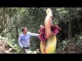 World's BIGGEST Flowers! (World's Most Spectacular Plants episode 2 of 14)