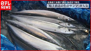 【船上から直送】全国でここだけ  「生サンマ」販売  富山・魚津市