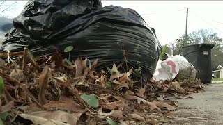 Despite recycling suspension, some yard waste not picked up