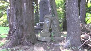 秋田神社