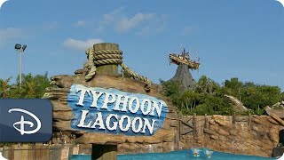 Disney's Typhoon Lagoon Reopens | Walt Disney World Resort