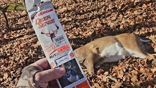 Deer Senses Stick, Do sense sticks work? Have you ever used Deer Sense stick from deerquest, I think