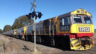 TasRail TR13 TR14 #46 Coal train Whitemore Road