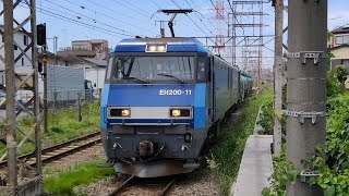 6月5日小田栄駅 高崎A216運用 5160レ EH200-11