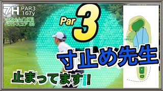 【ゴルフ】寸止め先生  誕生！Par3はチャンスでもあり・罠もあり。（山武7番）