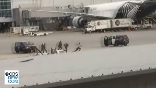 Viral Video: Man Hops Security Fence At San Francisco Airport