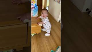 【初めて靴を履く8ヶ月の赤ちゃん】歩く準備を始める【四人育児】8 months baby wearing shoes for the first time