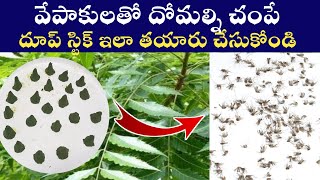 సహజ పద్దతిలో ఈజీగా దోమలకు చెక్ పెట్టండి ఇలా | mosquito dhoop sticks | neem mosquito dhoop sticks