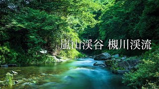 嵐山渓谷　槻川渓流　岩畳付近　ドローン空撮　埼玉県比企郡嵐山町　2018年6月22日撮影