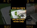 완전 성공하는 수국 삽목방법🌱 수국 삽목 수국번식