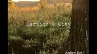 Section 8 City - Andrew Bird