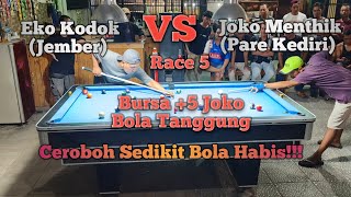 Ketat!!! Eko kodok jember VS Joko menthik kediri