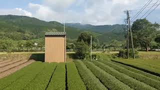 大井川鐵道大井川本線 千頭発新金谷行EL急行川根温泉笹間渡〜家山 E34